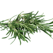 Rosemary