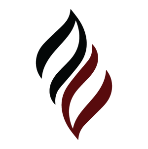 Footer logo
